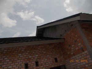 DSCN8366