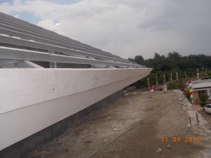 DSCN8396
