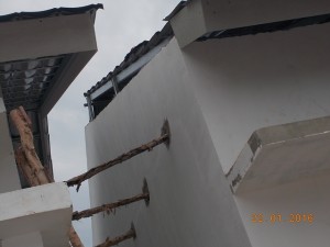 DSCN8421