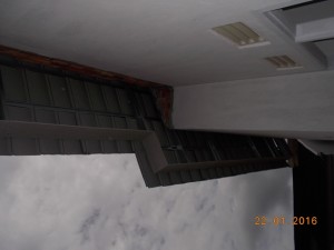 DSCN8431