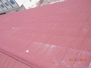 DSCN8530