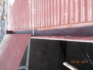 DSCN8556