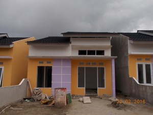 DSCN8561