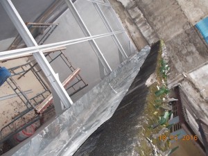 DSCN8638