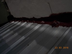 DSCN8673